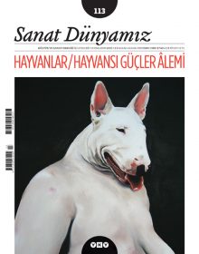 Hayvanlar / Hayvansı Güçler Âlemi…